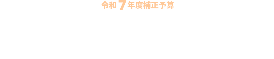 令和7年度補正予算被害者保護増進等事業費補助金スキャンツール補助金